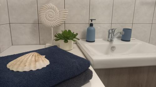a bathroom with a shell on the counter next to a sink at Négy Évszak Vendégház Nyúl in Nyúl