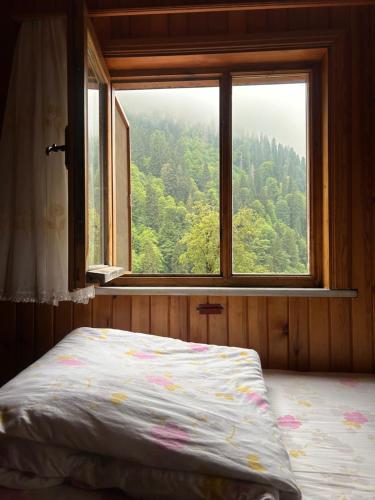 a bedroom with a window with a view of a forest at BAHAR APART in Ayder Yaylasi