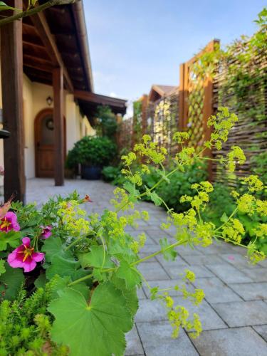 Taman di luar Ferienhaus Saalachau