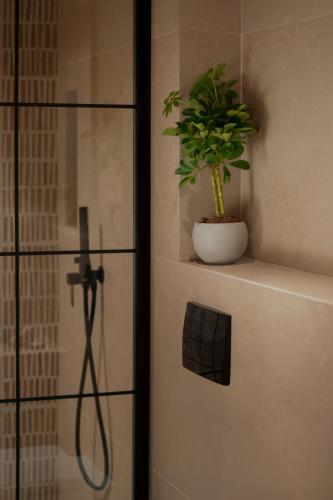 a bathroom with a shower with a plant on a shelf at Pnoes Luxury Suites in Paliouri