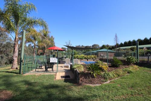 a garden with a fence and a table and umbrella at Motel Views Yackandandah in Yackandandah