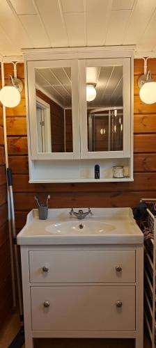 a bathroom with a sink and a mirror at Utsikten in Havningberg