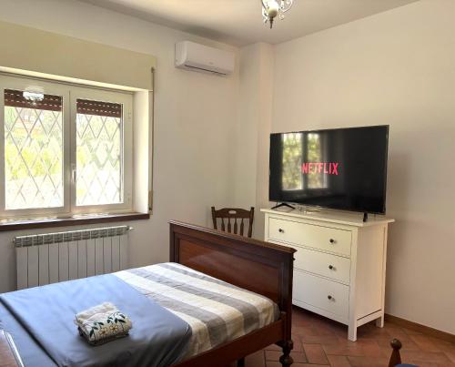 a bedroom with a bed and a flat screen tv at Vacanze Romane in Morlupo