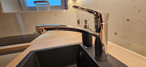 a kitchen sink with a chrome kitchen faucet at AppPrusnik in Ljubljana
