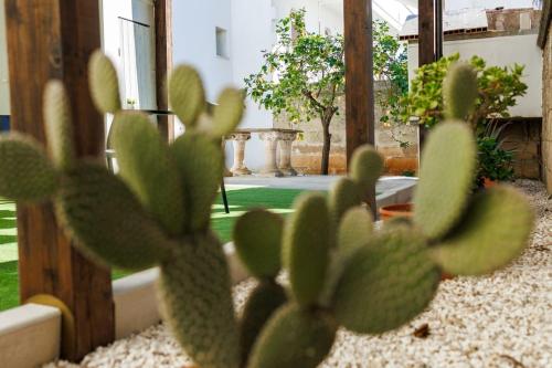 Jardín al aire libre en ApartHotel Mialma - Salento Reservation