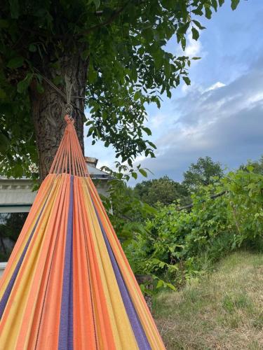 a tree with a bunch of rainbow coloredipes at Під рідним небом in Balyko-Shchuchinka