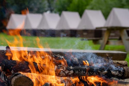 Stylový kemp pro skupinu v horách u koní - Omega