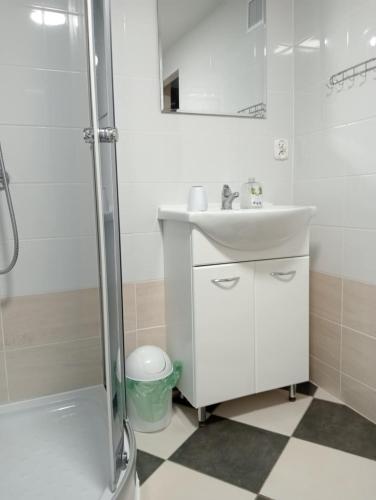 a white bathroom with a sink and a shower at Domek Pod Sosnami D in Krasnobród