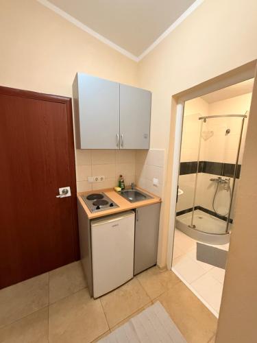 a small kitchen with a sink and a shower at Imperia in Bar