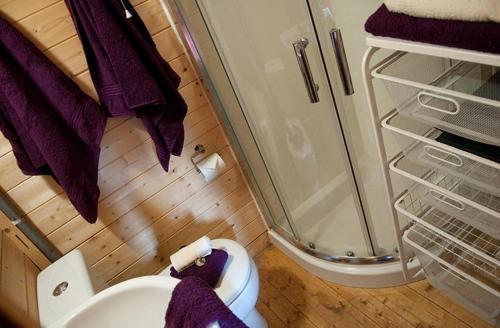 a bathroom with a shower and a white toilet at Lodge with HotTub-Garden-PetsOK-Bbq-MountainViews in Brecon