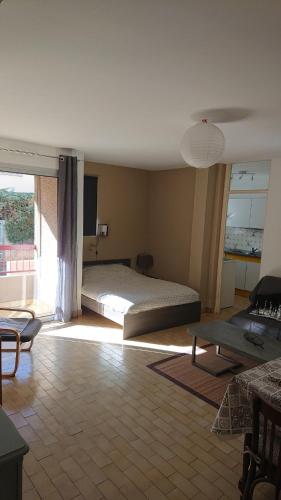 Aux plaisirs du Conflent - Spacieux T1 en RDC avec balcon - Equipement Classé 3 étoiles -