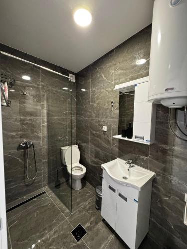 a bathroom with a shower and a toilet and a sink at Nikos apartman in Soko Banja