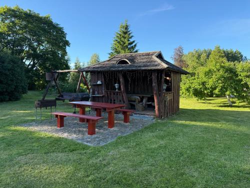 a playground with a picnic table and a swing at Ģimenes māja “Rukši” in Dokupe
