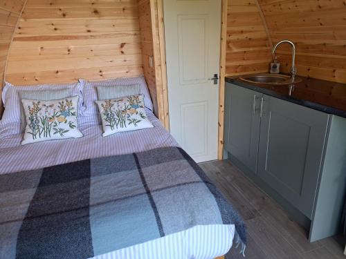 a bedroom with a bed and a sink in a cabin at Beautiful and Cosy Garden Pod Saintives in Carbis Bay
