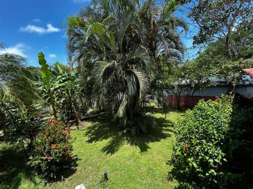 a palm tree in the yard of a house at Oliver Fishing B&B in Boca Chica