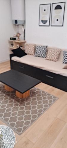 - un canapé dans le salon avec un tapis dans l'établissement Tulipe21, à Dijon