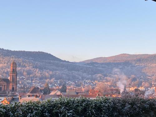 a view of a city with a clock tower and a town at KITTERLELODGE Suite 1 à 4 personnes avec vue in Guebwiller