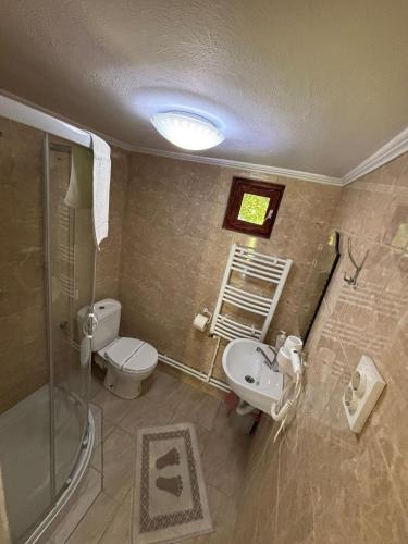 a bathroom with a toilet and a sink and a shower at Anita Vendégház Korond in Ascio