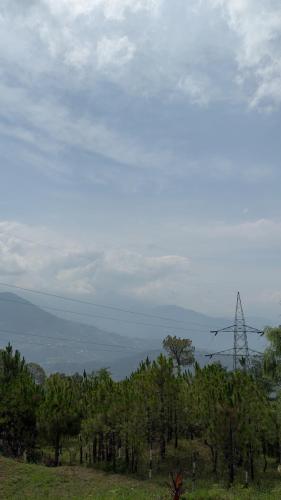a field with trees and a windmill in the distance at Surya hills Homestay in Patnitop