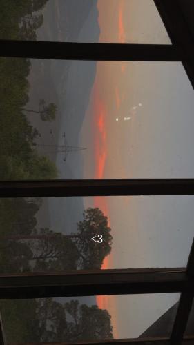 a view of a window with a tree in the background at Surya hills Homestay in Patnitop