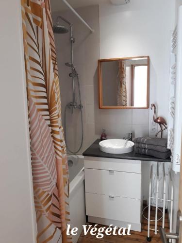 une salle de bain avec un lavabo et une douche dans l'établissement Les Belles Terrasses Dieppe ,3 appartements , LE VEGETAL de 1 à 8 personnes , LE TROPICAL de 1 à 6 personnes , LE FLORAL avec TERRASSE de 1 à 3 personnes , quartier calme au stationnement gratuit à coté de l'avenue verte, à Dieppe
