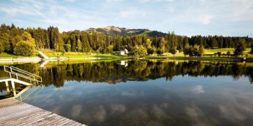 a view of a lake with trees and mountains at Hotel Metzgerwirt in Kirchberg in Tirol