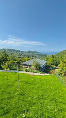 a field of green grass with a building in the background at Blacksea Dream House in Trabzon