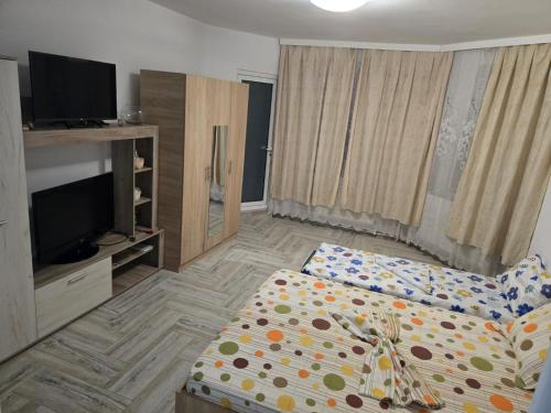 a living room with a bed and a television at Casa Stoian in Costinesti