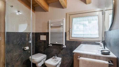 a bathroom with a toilet and a sink and a shower at Olgas Chalet in Vione