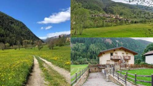 a collage of pictures of a field and a house at Olgas Chalet in Vione