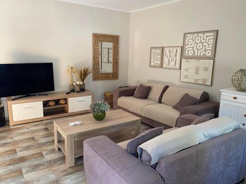 a living room with a couch and a tv at Geropalas Spacious Garden House in Vlachopoulátika