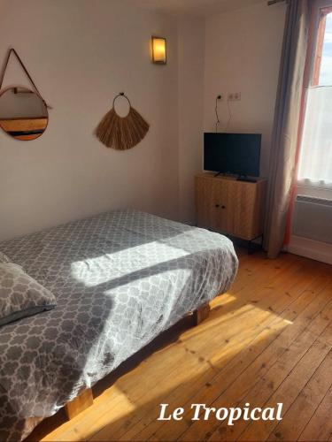 une chambre avec un lit et une télévision à écran plat dans l'établissement Les Belles Terrasses Dieppe ,3 appartements , LE VEGETAL de 1 à 8 personnes , LE TROPICAL de 1 à 6 personnes , LE FLORAL avec TERRASSE de 1 à 3 personnes , quartier calme au stationnement gratuit à coté de l'avenue verte, à Dieppe