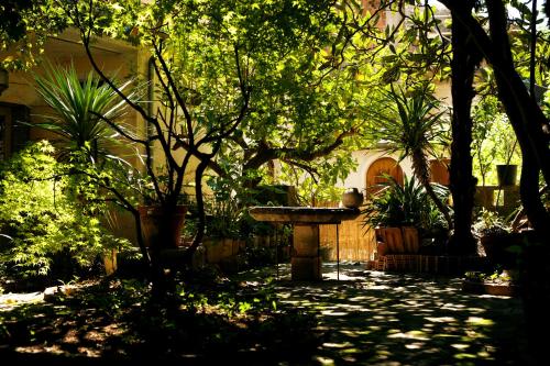 Un jardín fuera de Palazzo Castrucci