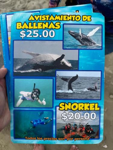a poster of a shark in the ocean at Casa familiar para estrenar! 10 mins de la playa in Manta