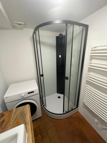 una ducha de cristal en un baño con lavabo en Duplex Hyper centre cosy, en Auxerre