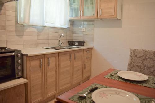 Sofia's Urban Flat - Near Tram
