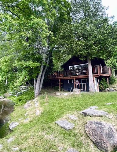 a log cabin with a deck and a tree at The Muskoka Nest in Windermere