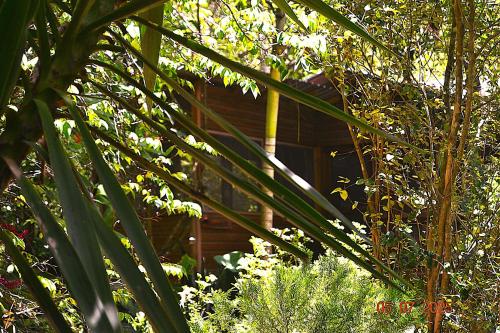 Licensed 2 bedroom cabin Close to San Ignacio, local dining, and adventure tours