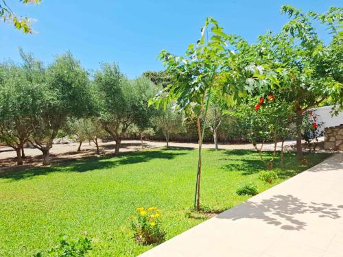 Κήπος έξω από το Rhodes Soul Iuxury home
