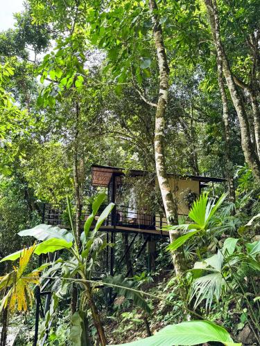a tree house in the middle of the forest at Rincon de la Sierra Minca in Minca