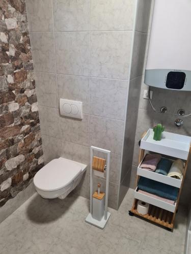 a bathroom with a white toilet and a sink at Apartment Vila Lokve in Lokve