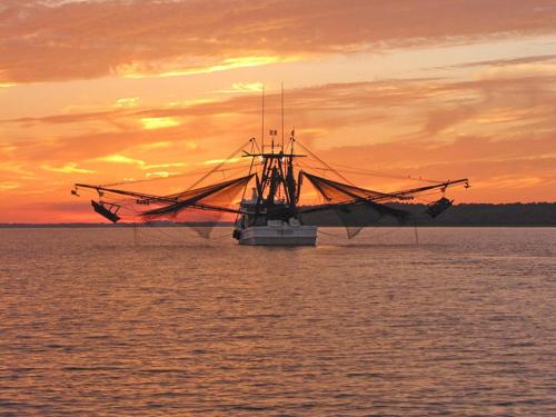 a large shrimp boat in the water at sunset at Cozy Suite just Steps from Beach Club, Sandbar, Tennis, & Beaches in Fripp Island