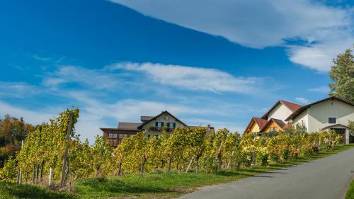 Gallery image of Weingut Hernach vlg Roschitz in Leutschach