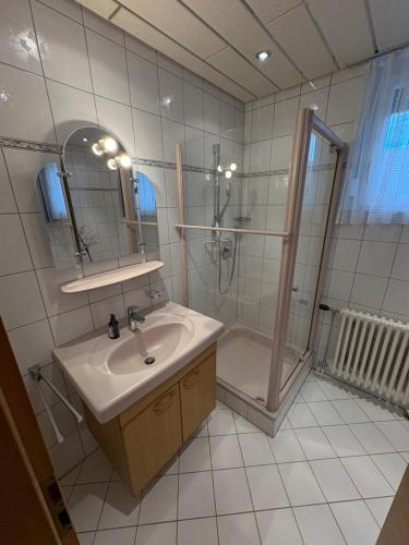 a bathroom with a sink and a shower at Naturblick am Dorfausgang in Rheinau