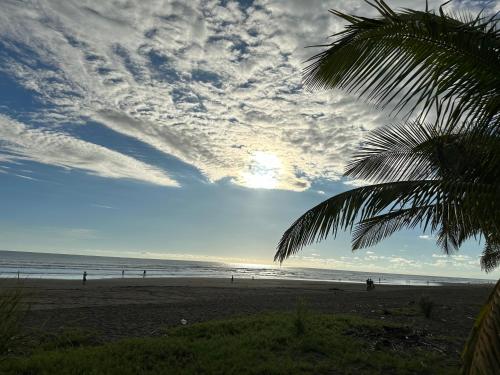 a beach with a palm tree and people on the beach at En-suite Paraiso #1 in Parrita
