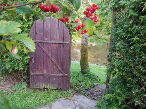 an old wooden door with a bunch of red berries at Stavne 158 in Stavnoye