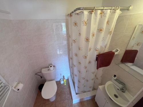 a bathroom with a toilet and a shower curtain at Apartmány U Švýcarského dvora in Janske Lazne