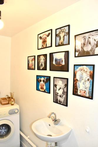a bathroom with pictures of cows on the wall at Duplex lumineux haut Jura in Ponthoux
