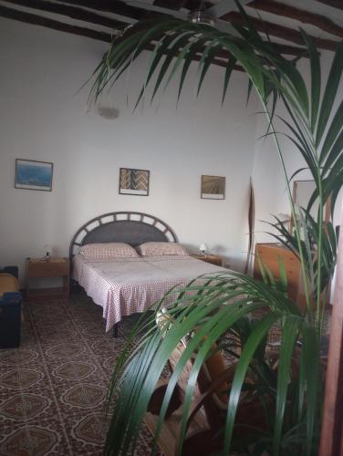 a bedroom with a bed and a large plant at "la Palma"la casa del sole e del vento in Lingua