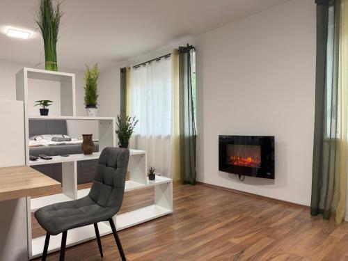 a living room with a chair and a fireplace at Seewinkelruh in Frauenkirchen